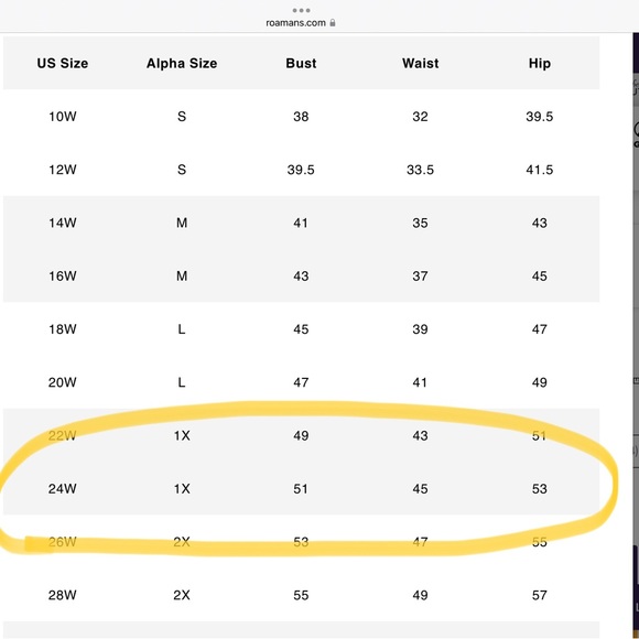 Set of 2 Roaman’s cotton button down plus size long sleeved shirts. Size 24W - Picture 16 of 16